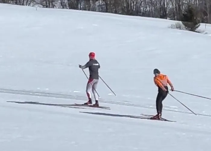 Blue Alpine By Interhome Rueras