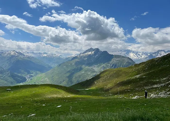 Blue Alpine By Interhome Lejlighed Rueras